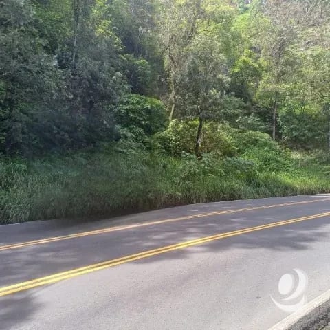 Terreno Comercial sobre Carretera Hacia Boca del Monte — Terreno en Venta en Villa Canales, Guatemala, Ciudad — foto 6 de 9
