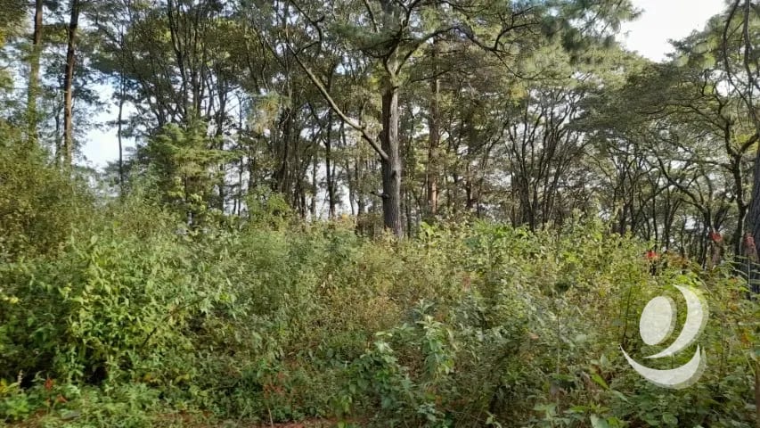 Terreno en Venta San Lucas Sacatepéquez, Guatemala — Terreno en Venta en San Lucas Sacatepéquez, Sacatepéquez — foto 3 de 16