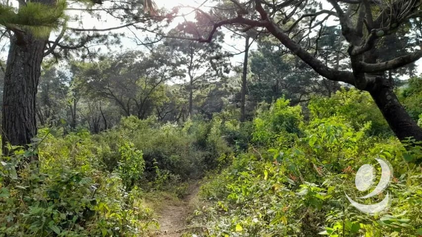 Terreno en Venta San Lucas Sacatepéquez, Guatemala — Terreno en Venta en San Lucas Sacatepéquez, Sacatepéquez — foto 1 de 16