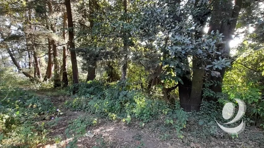 Terreno en Venta San Lucas Sacatepéquez, Guatemala — Terreno en Venta en San Lucas Sacatepéquez, Sacatepéquez — foto 5 de 16