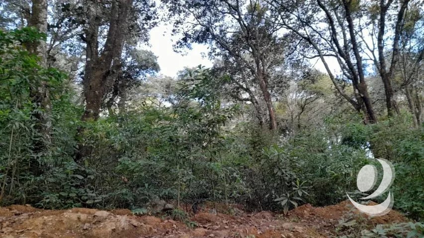 Terreno en Venta San Lucas Sacatepéquez, Guatemala — Terreno en Venta en San Lucas Sacatepéquez, Sacatepéquez — foto 9 de 16