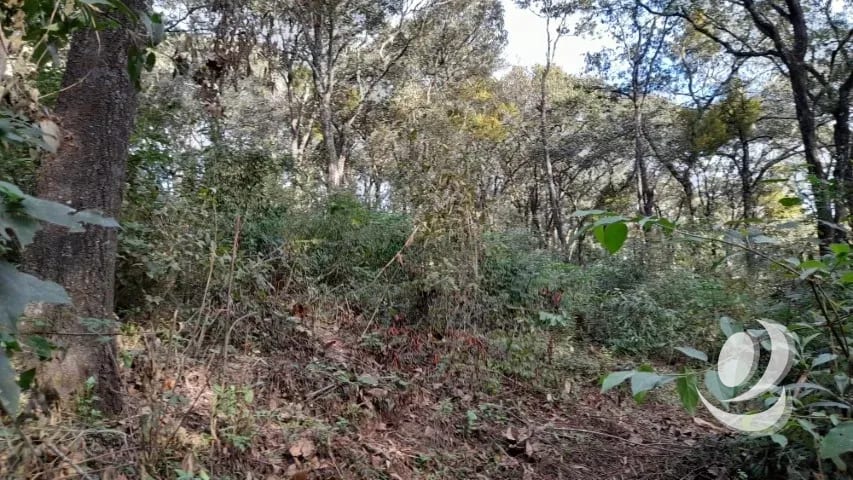 Terreno en Venta San Lucas Sacatepéquez, Guatemala — Terreno en Venta en San Lucas Sacatepéquez, Sacatepéquez — foto 11 de 16