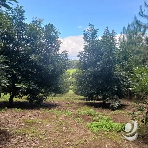 Terreno Comercial y Residencial en Venta Santiago Sacatepéquez — Terreno en Venta en Santiago Sacatepéquez, Sacatepéquez — foto 2 de 17