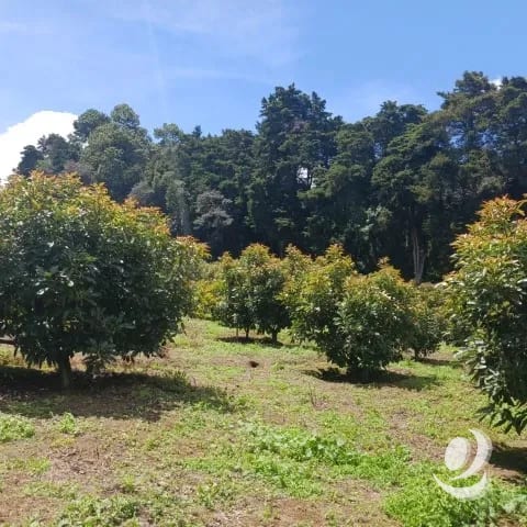 Terreno Comercial y Residencial en Venta Santiago Sacatepéquez — Terreno en Venta en Santiago Sacatepéquez, Sacatepéquez — foto 7 de 17