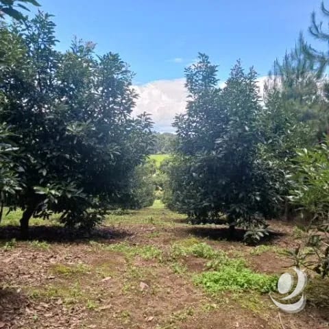Terreno Comercial y Residencial en Venta Santiago Sacatepéquez — Terreno en Venta en Santiago Sacatepéquez, Sacatepéquez — foto 8 de 17