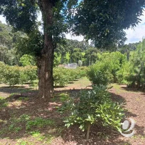 Terreno Comercial y Residencial en Venta Santiago Sacatepéquez — Terreno en Venta en Santiago Sacatepéquez, Sacatepéquez — foto 9 de 17
