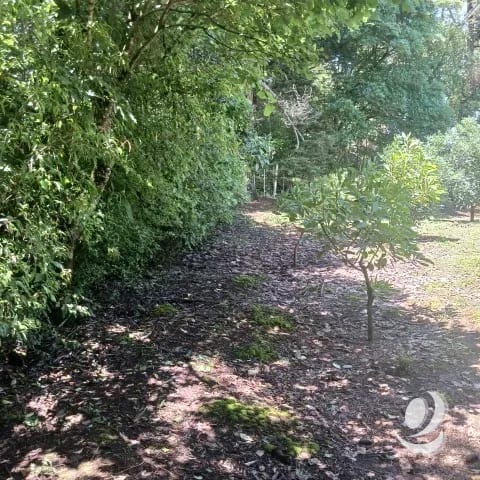Terreno Comercial y Residencial en Venta Santiago Sacatepéquez — Terreno en Venta en Santiago Sacatepéquez, Sacatepéquez — foto 11 de 17