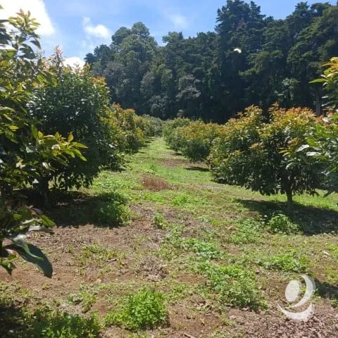 Terreno Comercial y Residencial en Venta Santiago Sacatepéquez — Terreno en Venta en Santiago Sacatepéquez, Sacatepéquez — foto 10 de 17