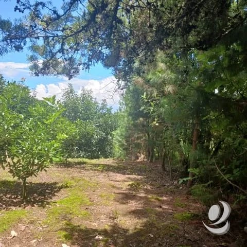 Terreno Comercial y Residencial en Venta Santiago Sacatepéquez — Terreno en Venta en Santiago Sacatepéquez, Sacatepéquez — foto 12 de 17
