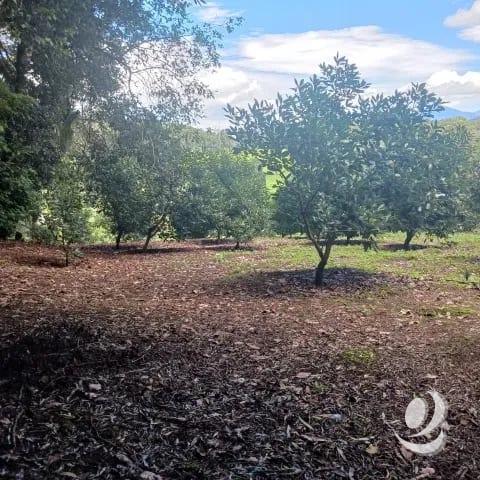 Terreno Comercial y Residencial en Venta Santiago Sacatepéquez — Terreno en Venta en Santiago Sacatepéquez, Sacatepéquez — foto 13 de 17