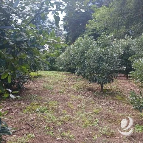 Terreno Comercial y Residencial en Venta Santiago Sacatepéquez — Terreno en Venta en Santiago Sacatepéquez, Sacatepéquez — foto 15 de 17