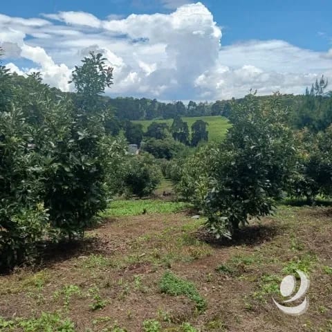 Terreno Comercial y Residencial en Venta Santiago Sacatepéquez — Terreno en Venta en Santiago Sacatepéquez, Sacatepéquez — foto 14 de 17