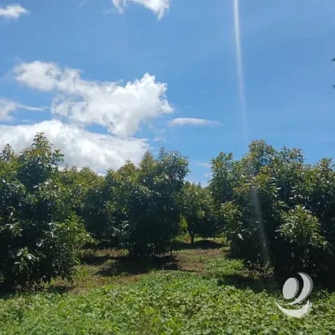 Terreno Comercial y Residencial en Venta Santiago Sacatepéquez — Terreno en Venta en Santiago Sacatepéquez, Sacatepéquez — foto 16 de 17