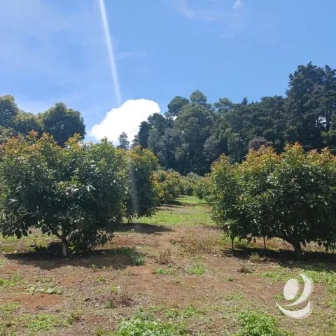 Terreno Comercial y Residencial en Venta Santiago Sacatepéquez — Terreno en Venta en Santiago Sacatepéquez, Sacatepéquez — foto 17 de 17