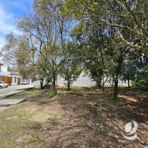 Terreno en Venta Hacienda Del Comendador, Sacatepéquez — Terreno en Venta en San Miguel Dueñas, Sacatepéquez — foto 12 de 16