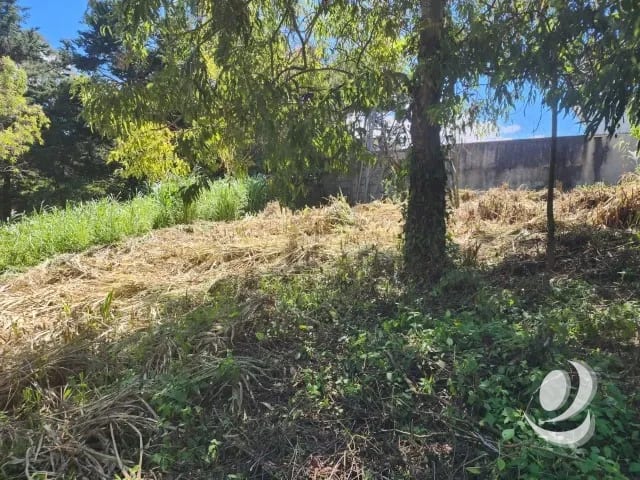 Terreno en Venta Fraijanes dentro de garita, Km 21 — Terreno en Venta en Carretera a El Salvador, Guatemala, Ciudad — foto 4 de 11