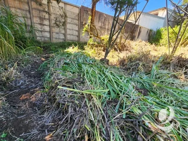 Terreno en Venta Fraijanes dentro de garita, Km 21 — Terreno en Venta en Carretera a El Salvador, Guatemala, Ciudad — foto 7 de 11
