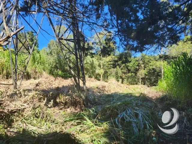 Terreno en Venta Fraijanes dentro de garita, Km 21 — Terreno en Venta en Carretera a El Salvador, Guatemala, Ciudad — foto 8 de 11