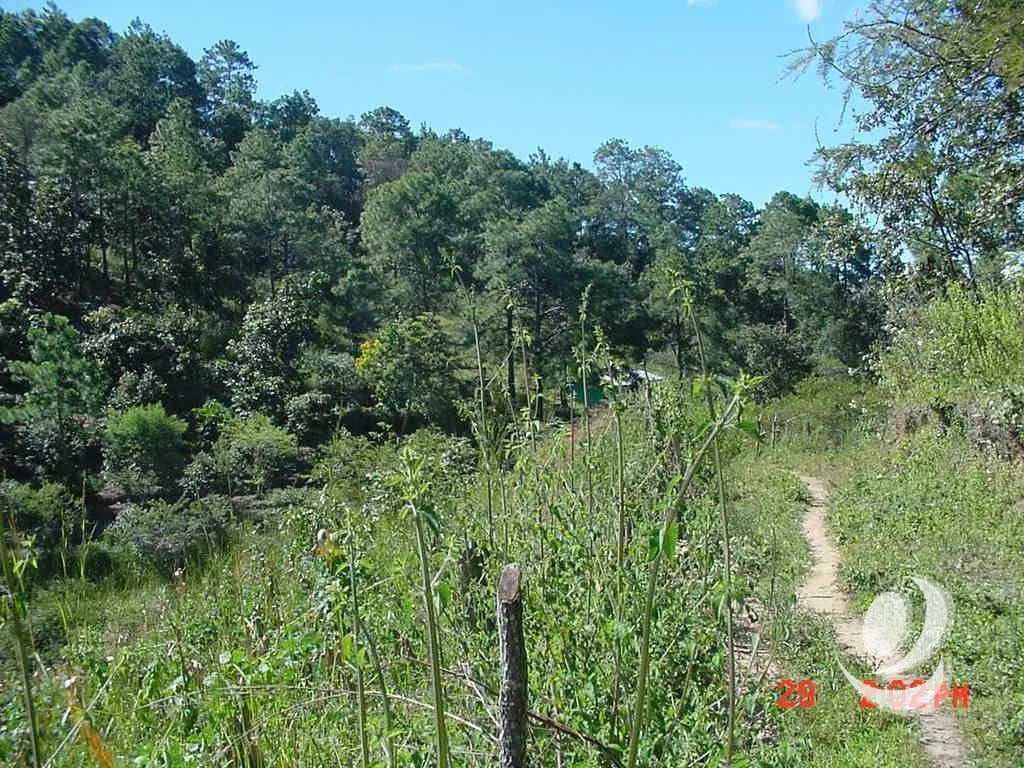 Vendo Finca Rustica en San Pedro Ayampuc — Finca en Venta en San Pedro Ayampuc, Guatemala, Ciudad — foto 1 de 10