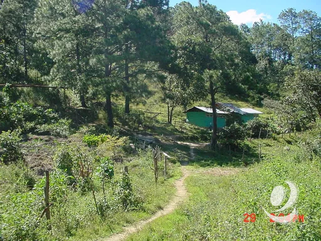 Vendo Finca Rustica en San Pedro Ayampuc — Finca en Venta en San Pedro Ayampuc, Guatemala, Ciudad — foto 6 de 10