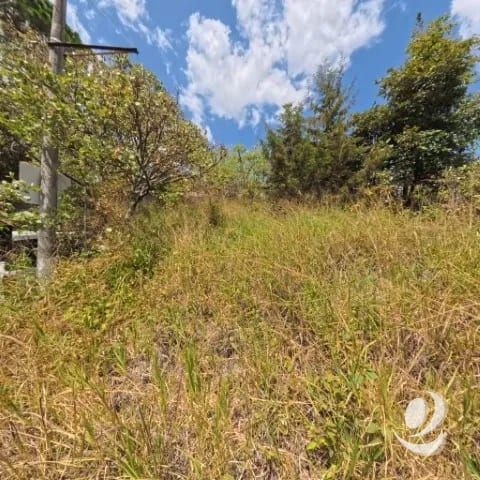 ¡¡¡Excelente Terreno en Venta San Cristóbal Mixco!!! — Terreno en Venta en Zona 8 Mixco, Guatemala, Ciudad — foto 7 de 10