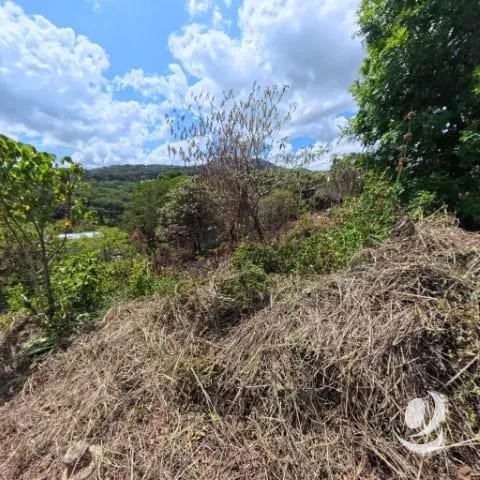 ¡¡¡Excelente Terreno en Venta San Cristóbal Mixco!!! — Terreno en Venta en Zona 8 Mixco, Guatemala, Ciudad — foto 9 de 10