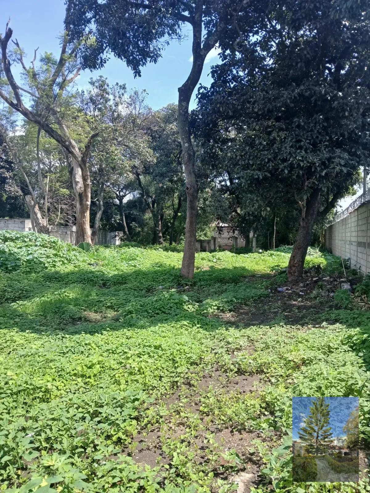🏭 Terreno en Venta – Sector Villa Nueva — Terreno en Venta en Villa Nueva, Guatemala, Ciudad — foto 1 de 1