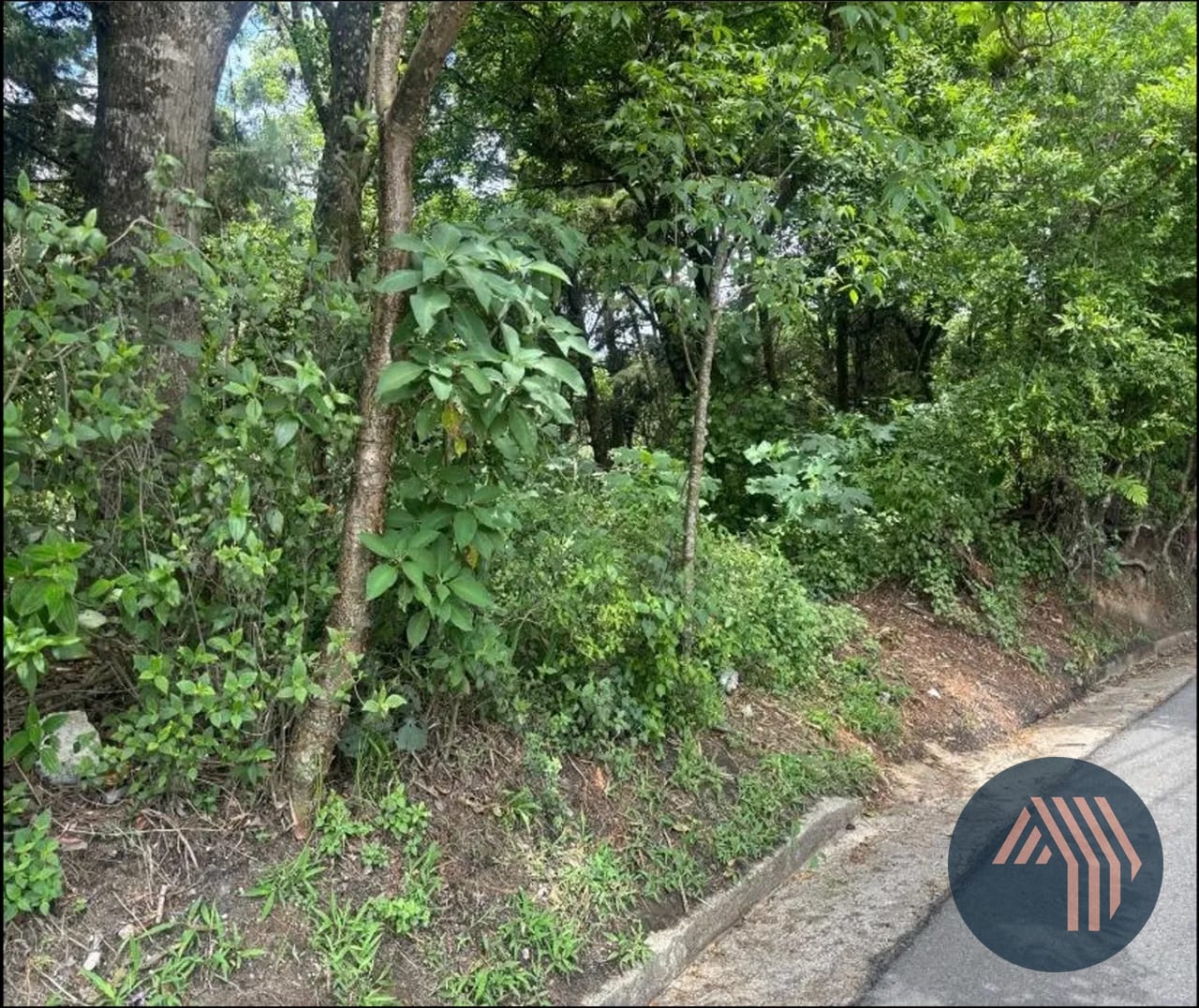 Venta de Amplio Terreno - Carr. a Laguna Bermeja, Piedra Parada — Terreno en Venta en Carretera a El Salvador, Guatemala, Ciudad — foto 4 de 9