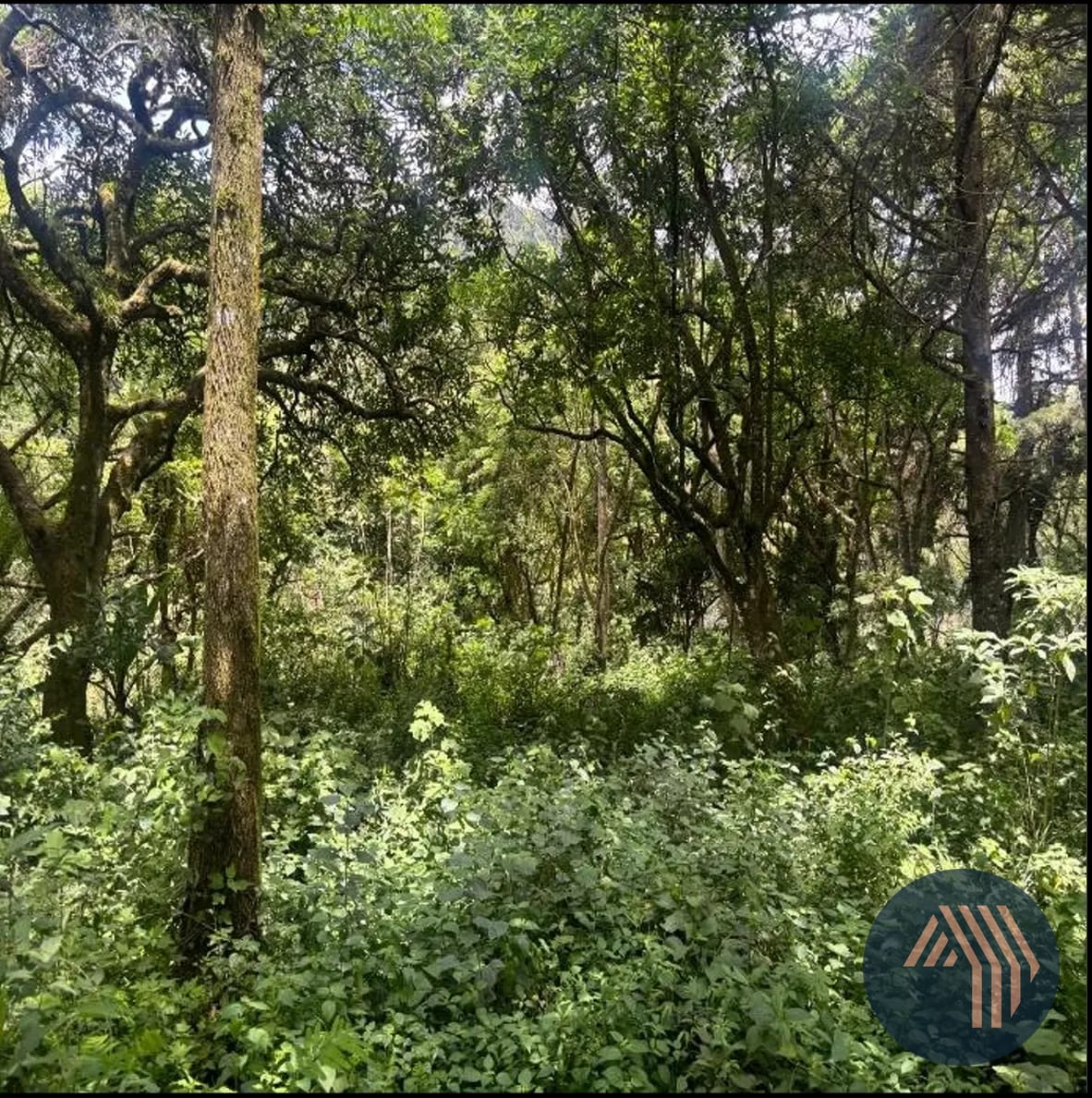 Venta de Amplio Terreno - Carr. a Laguna Bermeja, Piedra Parada — Terreno en Venta en Carretera a El Salvador, Guatemala, Ciudad — foto 7 de 9