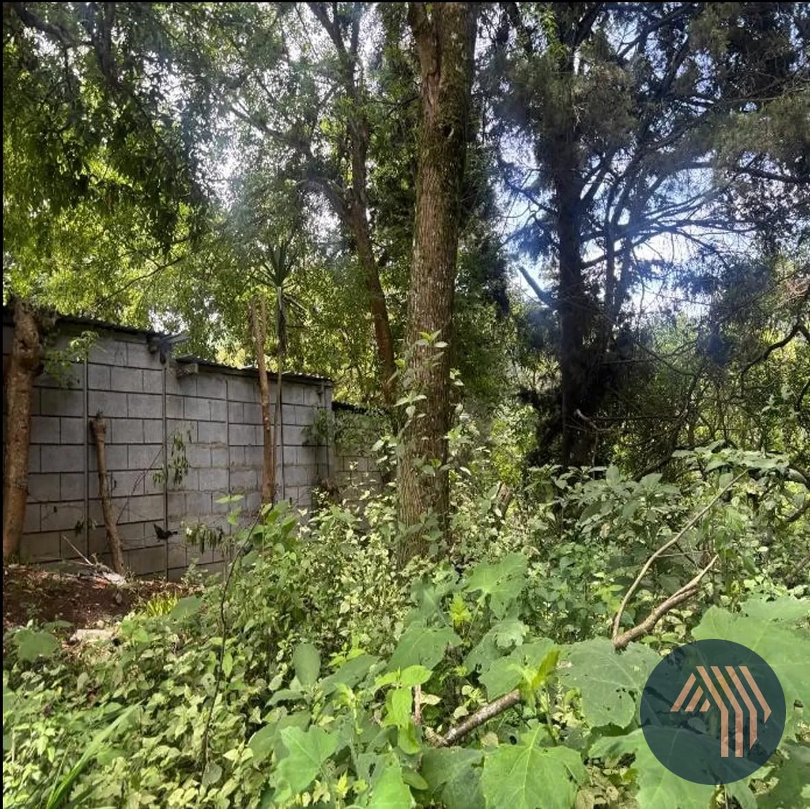 Venta de Amplio Terreno - Carr. a Laguna Bermeja, Piedra Parada — Terreno en Venta en Carretera a El Salvador, Guatemala, Ciudad — foto 8 de 9