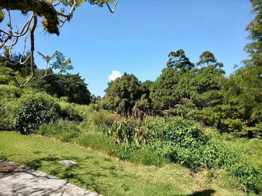 Terreno Exclusivo Venta 5000Vrs2 Cond Las Alturas CAES — Terreno en Venta en Las Alturas, Carretera a El Salvador, Guatemala, Ciudad — foto 3 de 5