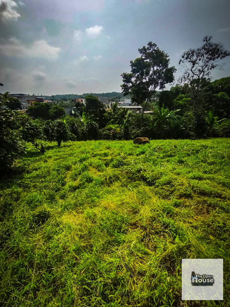 Terreno en Venta – Altos de San Francisco Suchitepéquez Mazatenango — Terreno en Venta en Mazatenango, Suchitepéquez — foto 7 de 8