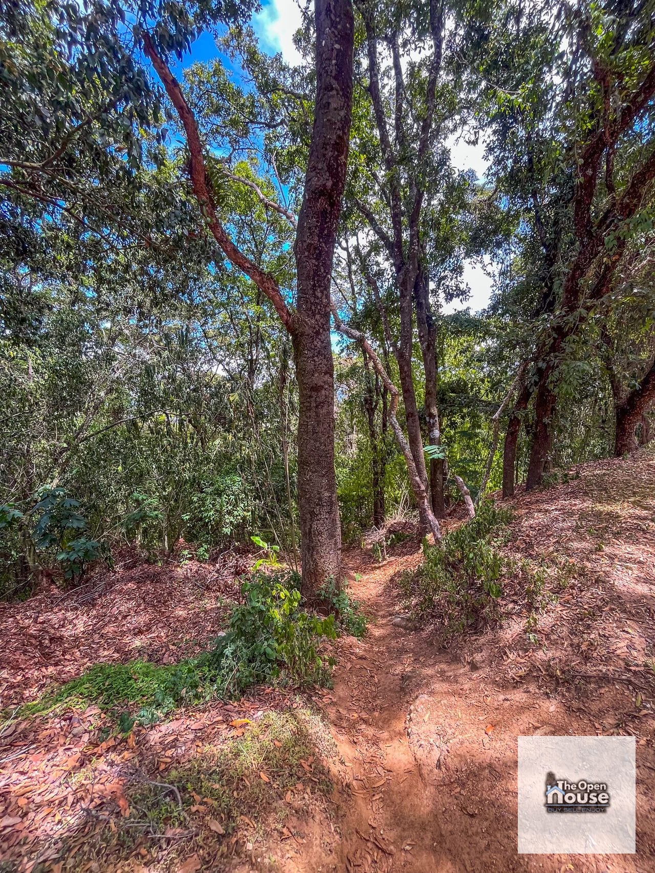 Terrenos en Venta en el Encinal — Terreno en Venta en El Encinal, Zona 7 Mixco, Guatemala, Ciudad — foto 10 de 16