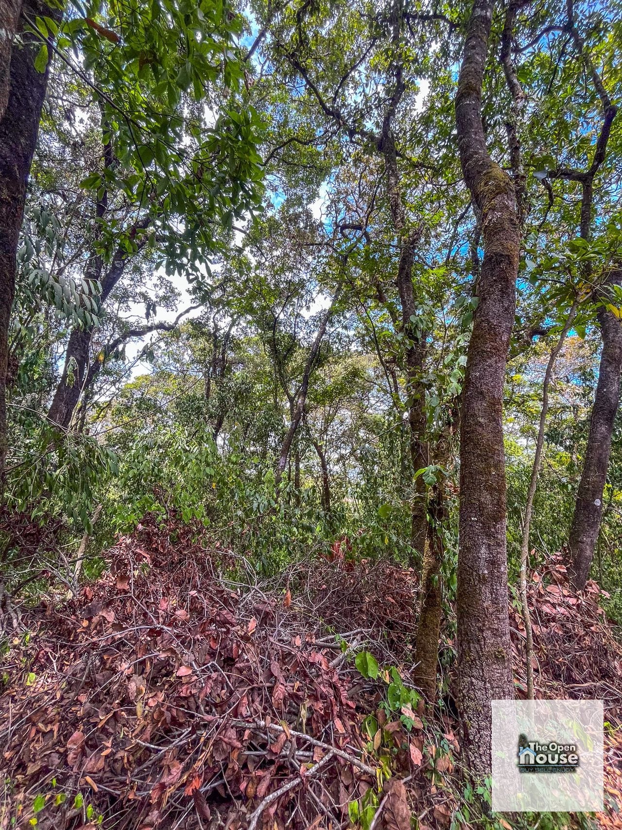 Terrenos en Venta en el Encinal — Terreno en Venta en El Encinal, Zona 7 Mixco, Guatemala, Ciudad — foto 12 de 16