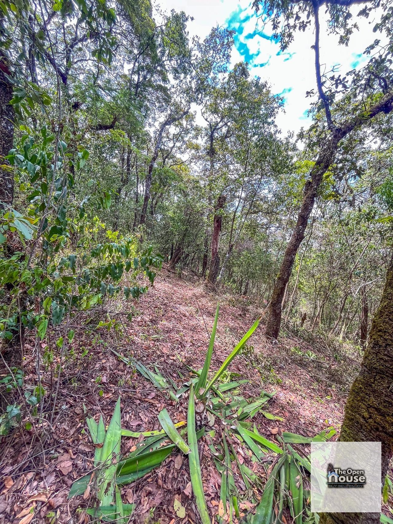 Terrenos en Venta en el Encinal — Terreno en Venta en El Encinal, Zona 7 Mixco, Guatemala, Ciudad — foto 14 de 16