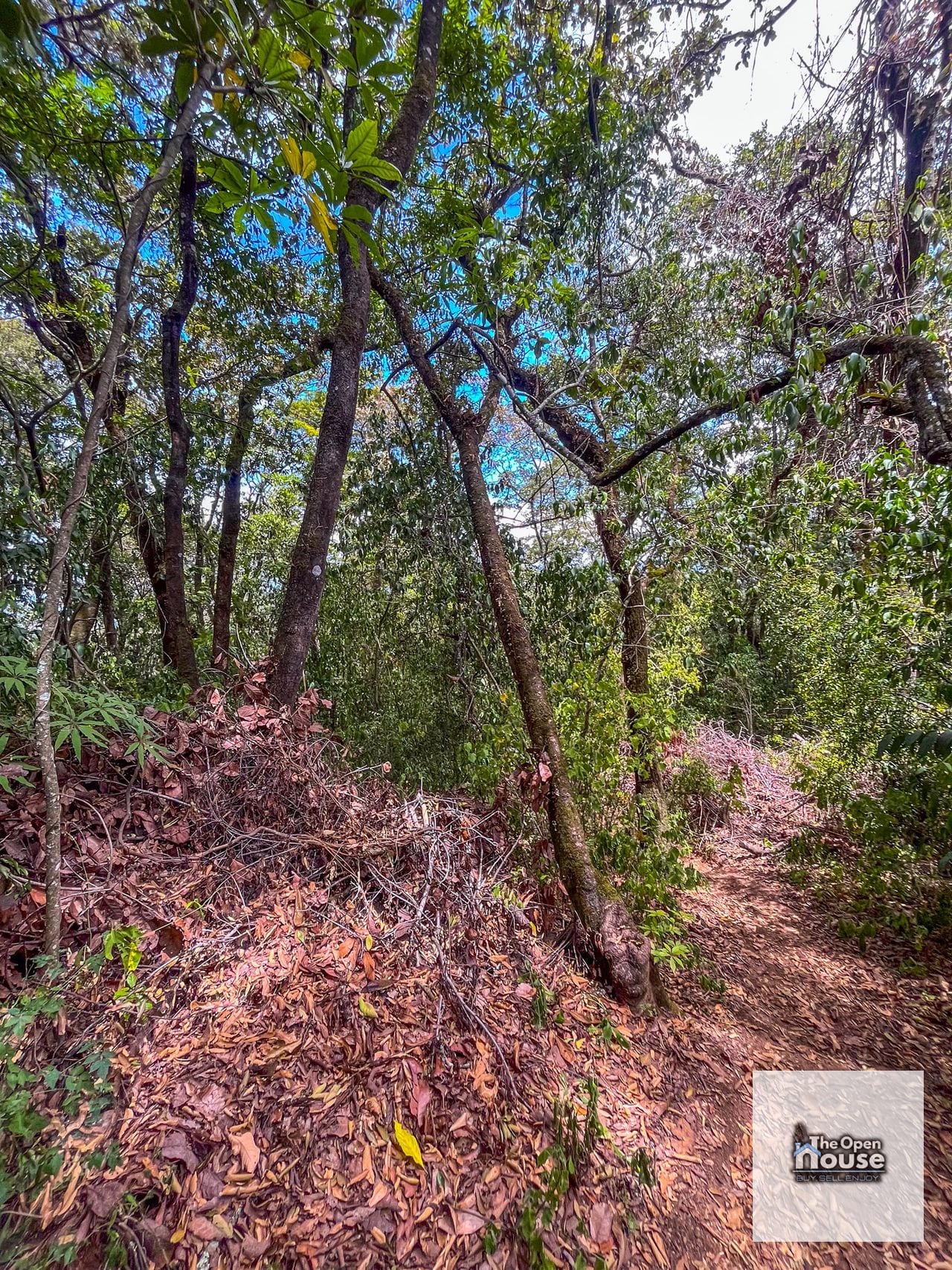 Terrenos en Venta en el Encinal — Terreno en Venta en El Encinal, Zona 7 Mixco, Guatemala, Ciudad — foto 13 de 16