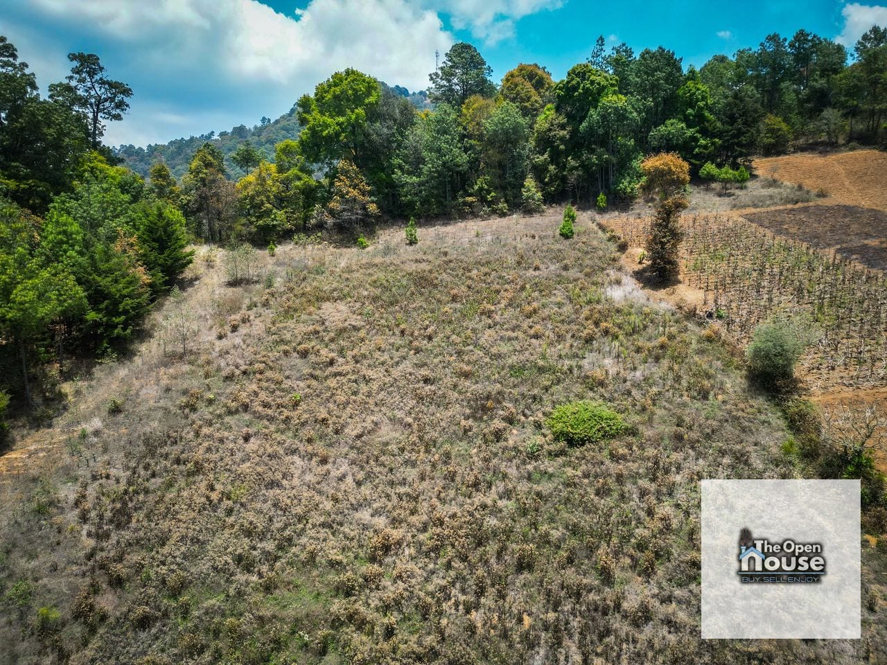 Terrenos en Venta – Encinos de Tecpán | Chimaltenango — Terreno en Venta en Tecpán, Chimaltenango — foto 21 de 34