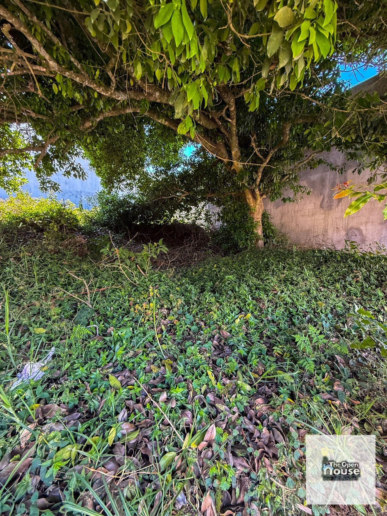 Venta de Terreno No 2 – San José Pinula — Terreno en Venta en San José Pinula, Guatemala, Ciudad — foto 12 de 30