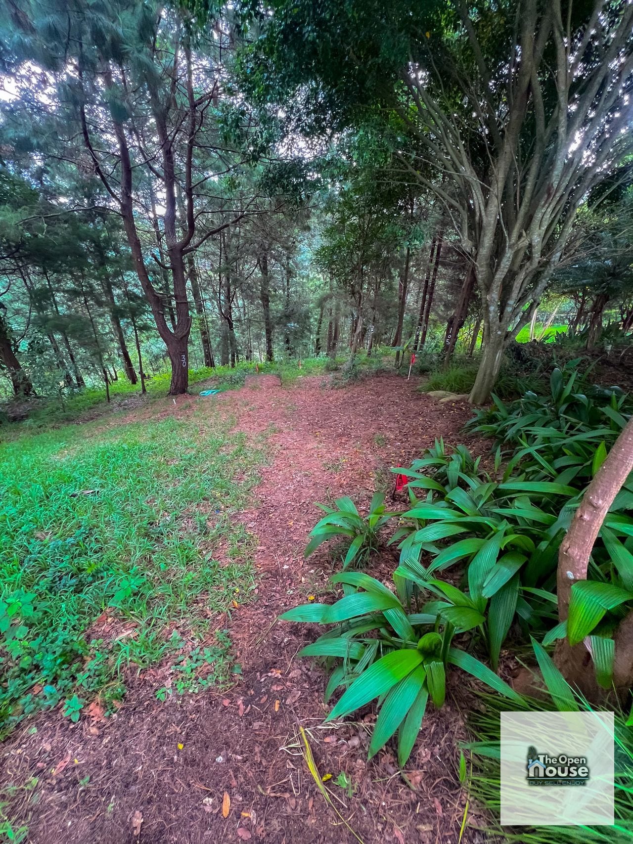 Terrenos Rústicos en Venta - Fraijanes — Terreno en Venta en Carretera a El Salvador, Guatemala, Ciudad — foto 2 de 11