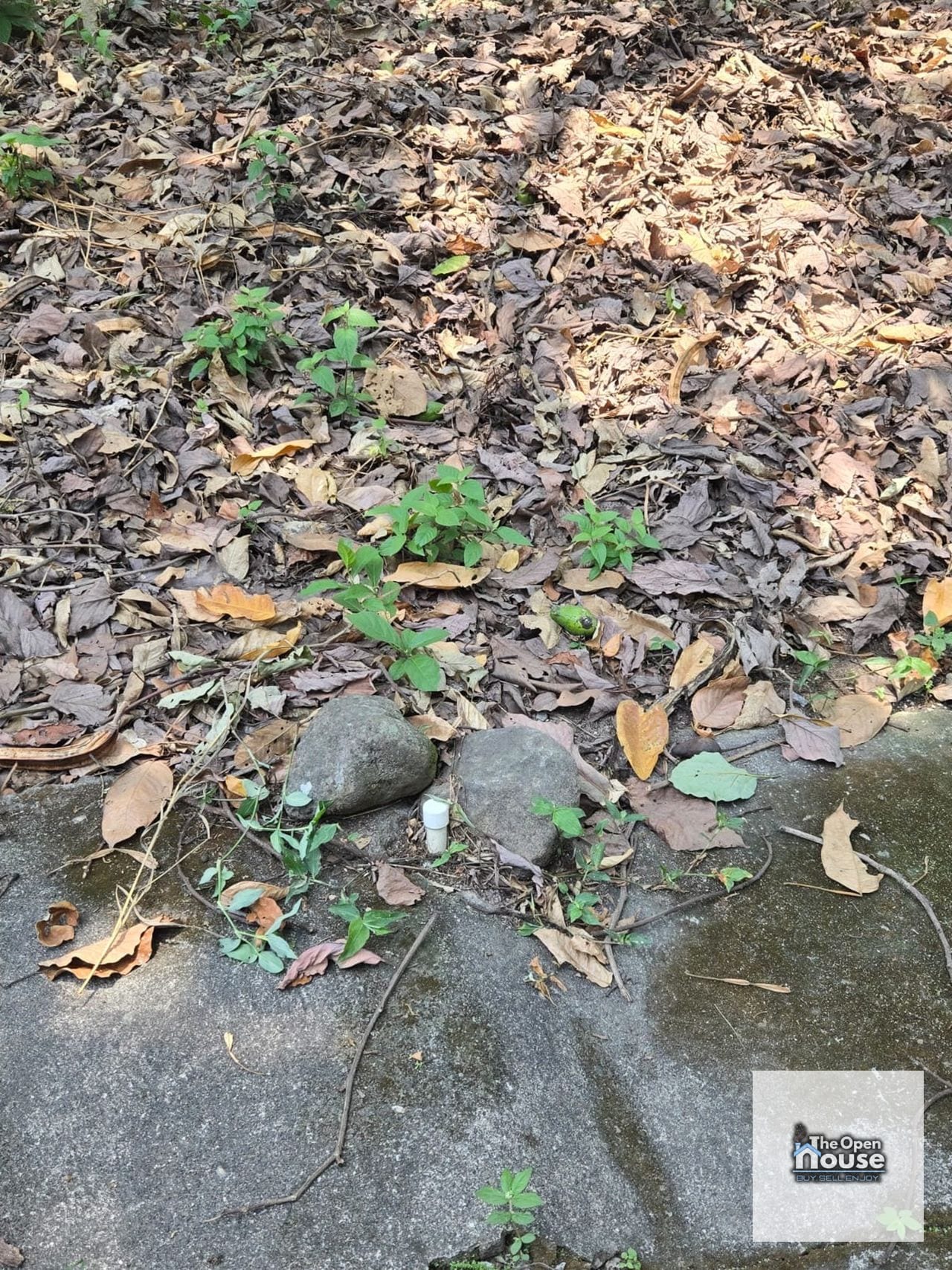 Terreno en Venta - Jardines Costa Del Sol Retalhuleu — Terreno en Venta en San Sebastián, Retalhuleu — foto 9 de 11