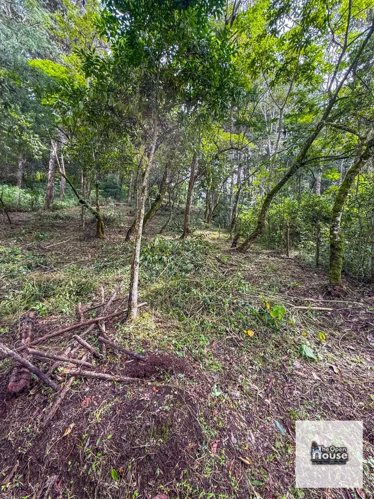 Terreno en Venta – El Platanar, San José Pinula — Terreno en Venta en San José Pinula, Guatemala, Ciudad — foto 6 de 15