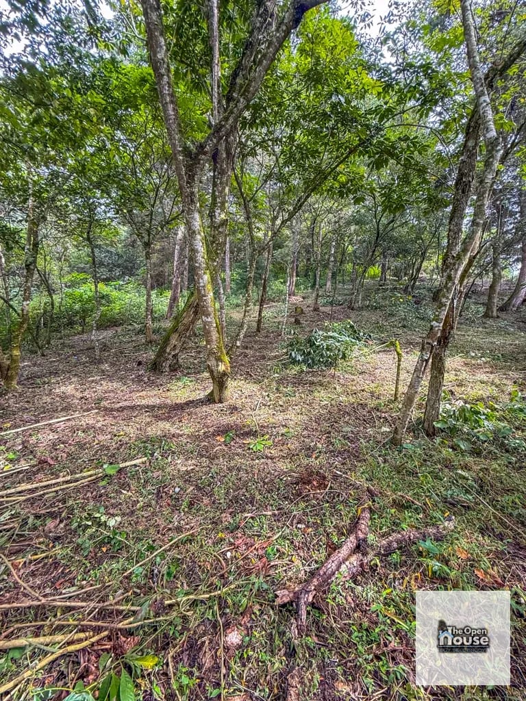 Terreno en Venta – El Platanar, San José Pinula — Terreno en Venta en San José Pinula, Guatemala, Ciudad — foto 8 de 15