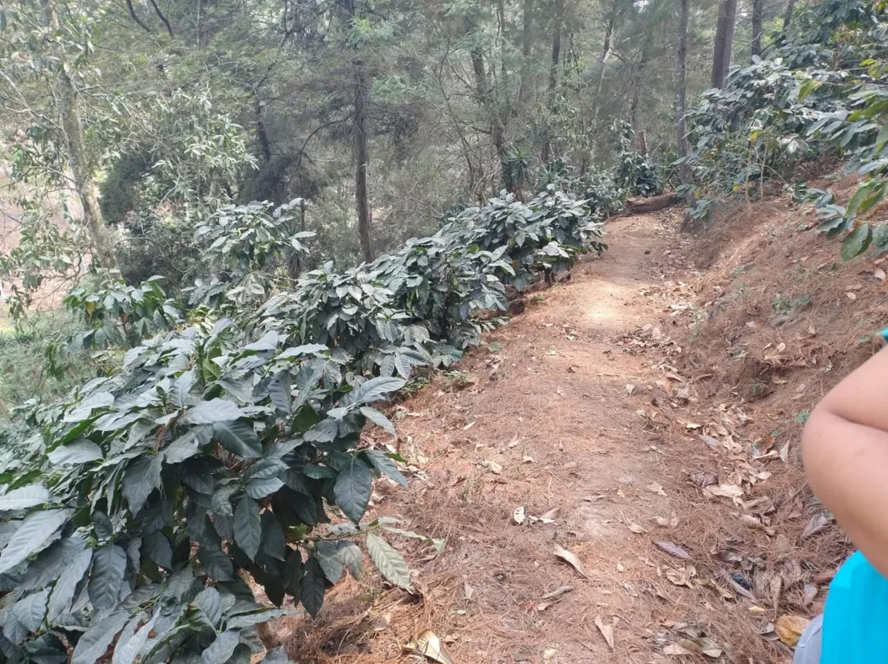 Se Venden 2.2 Manzanas de Terreno el Aldea los Planes Palencia — Terreno en Venta en palencia, Guatemala, Ciudad — foto 2 de 12