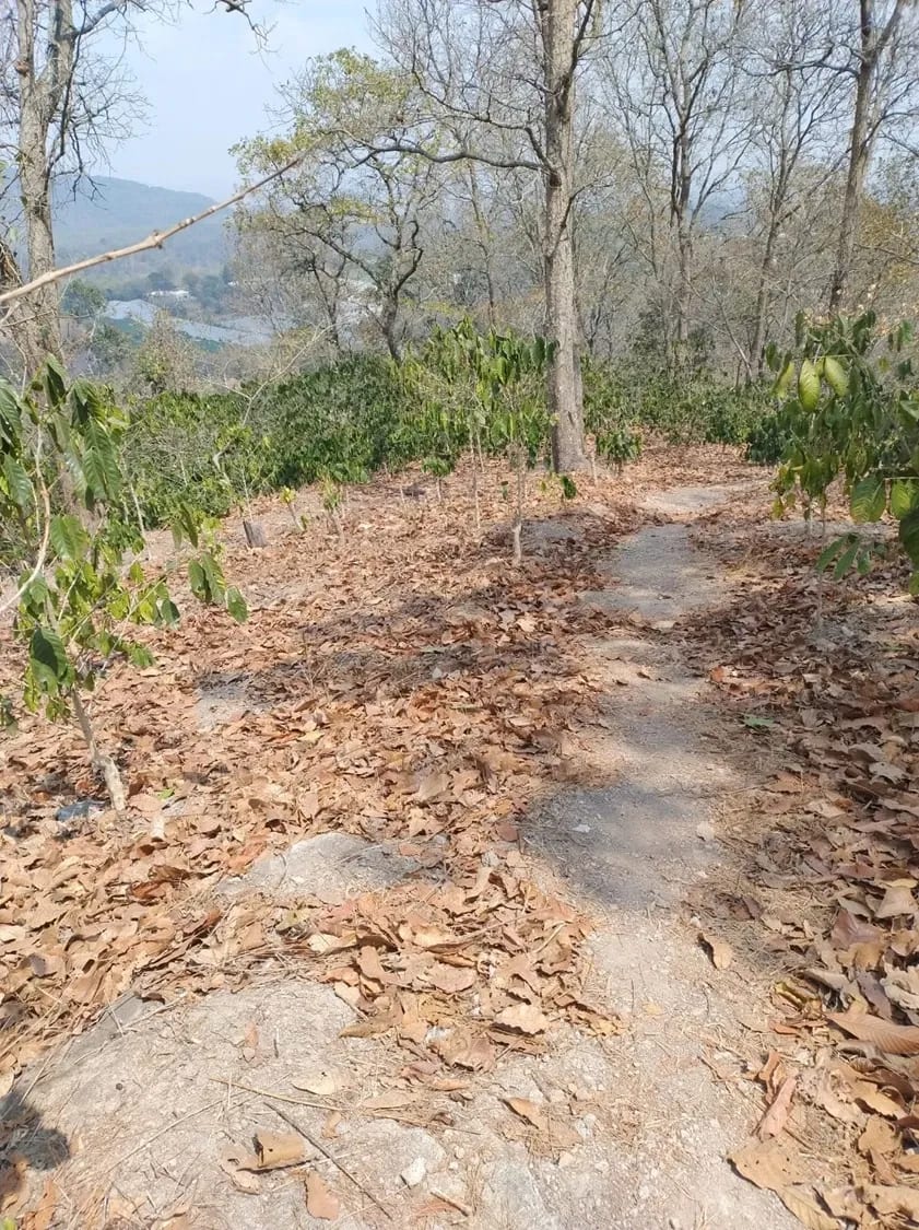 Se Venden 2.2 Manzanas de Terreno el Aldea los Planes Palencia — Terreno en Venta en palencia, Guatemala, Ciudad — foto 6 de 12