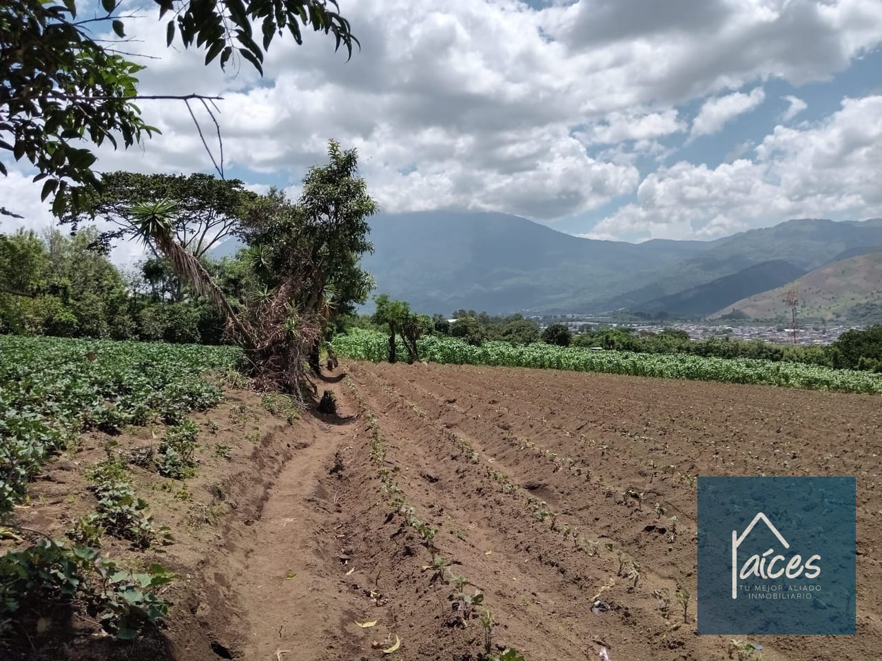 Terreno en venta Ciudad Vieja (*20) — Terreno en Venta en Ciudad Vieja, Sacatepéquez — foto 9 de 14