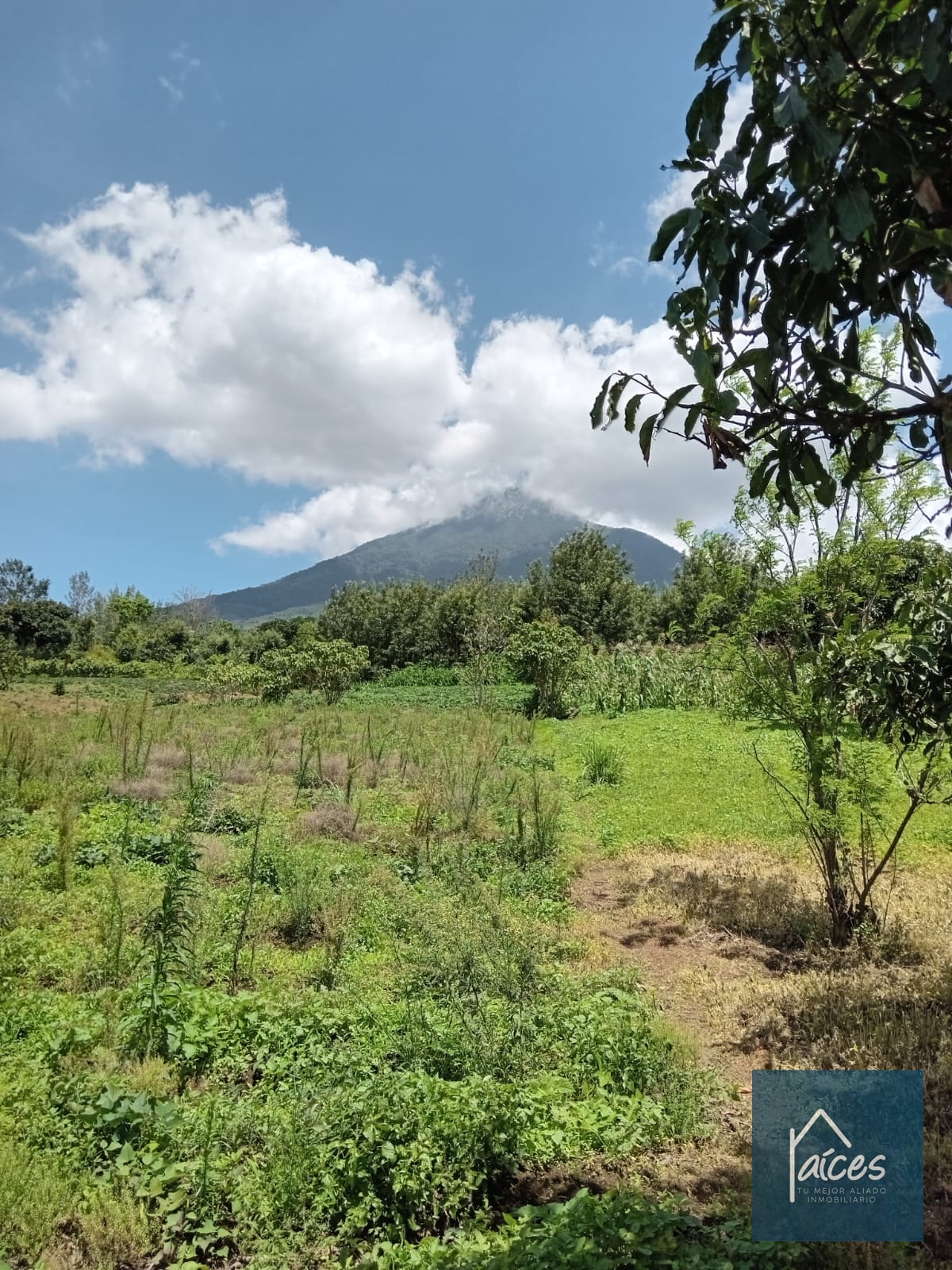 Terreno en venta Ciudad Vieja (*20) — Terreno en Venta en Ciudad Vieja, Sacatepéquez — foto 3 de 14