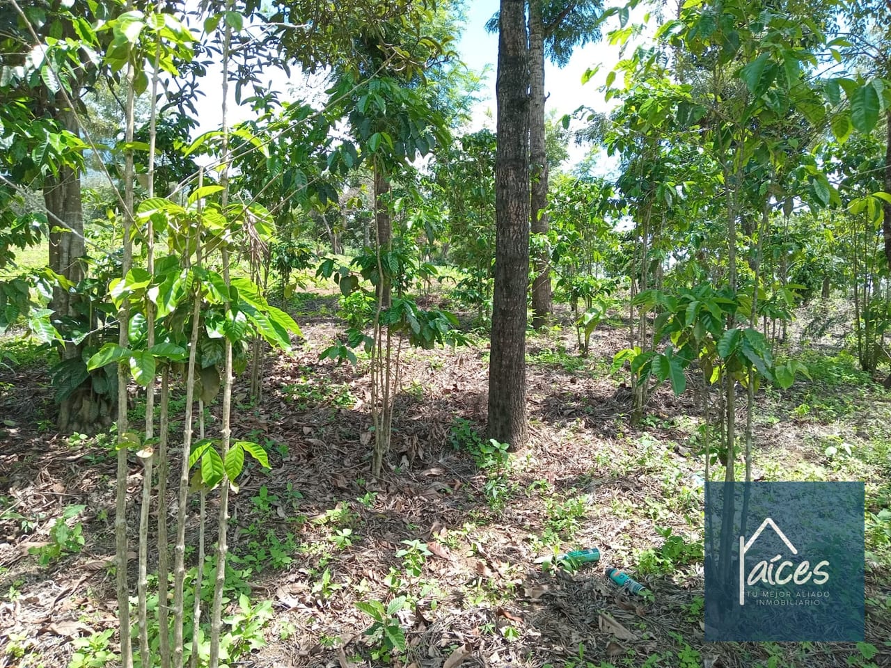 Terreno en venta Ciudad Vieja (*20) — Terreno en Venta en Ciudad Vieja, Sacatepéquez — foto 2 de 14