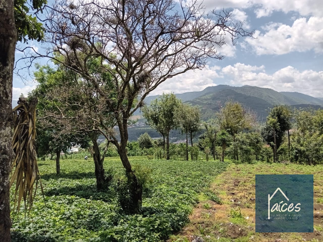 Terreno en venta Ciudad Vieja (*20) — Terreno en Venta en Ciudad Vieja, Sacatepéquez — foto 7 de 14