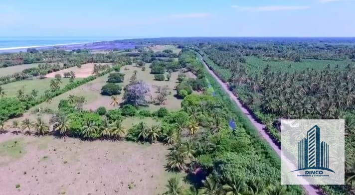 Vendo Finca en Tiquisate - Escuintla — Finca en Venta en Tiquisate, Escuintla — foto 1 de 3