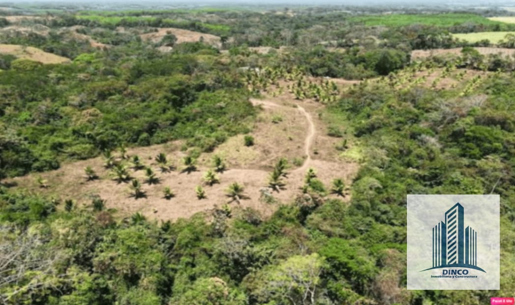 Vendo Finca en Santa Lucía Cotzumalguapa Escuintla — Finca en Venta en Santa Lucía Cotzumalguapa, Escuintla — foto 3 de 5